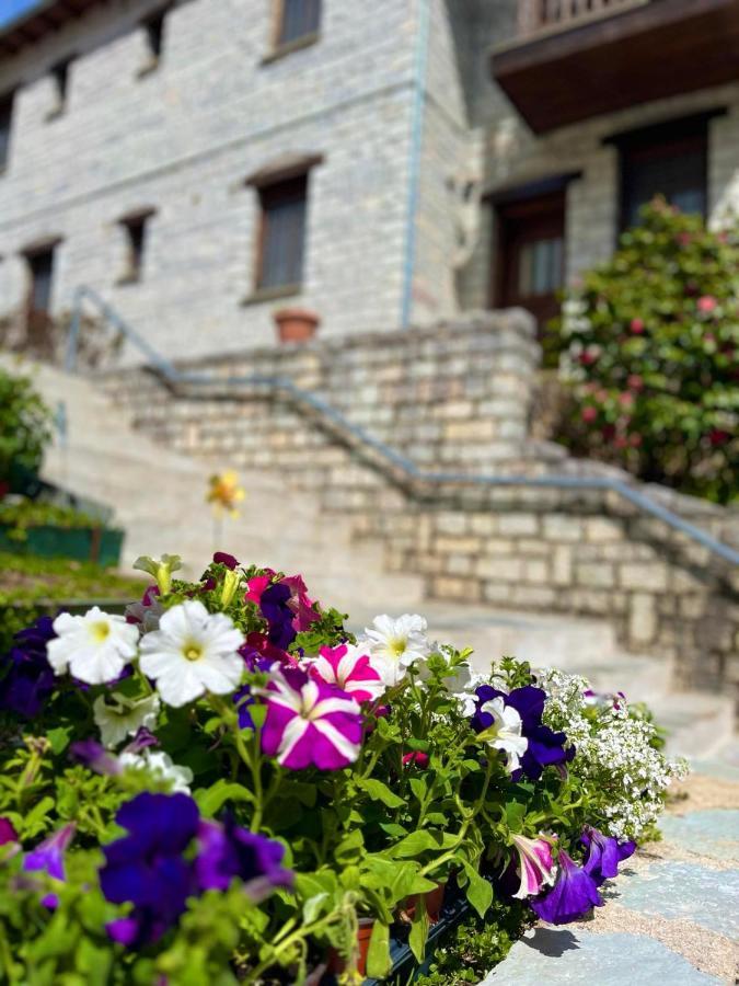 Giagia Evgenia Hotell Vitsa Exteriör bild